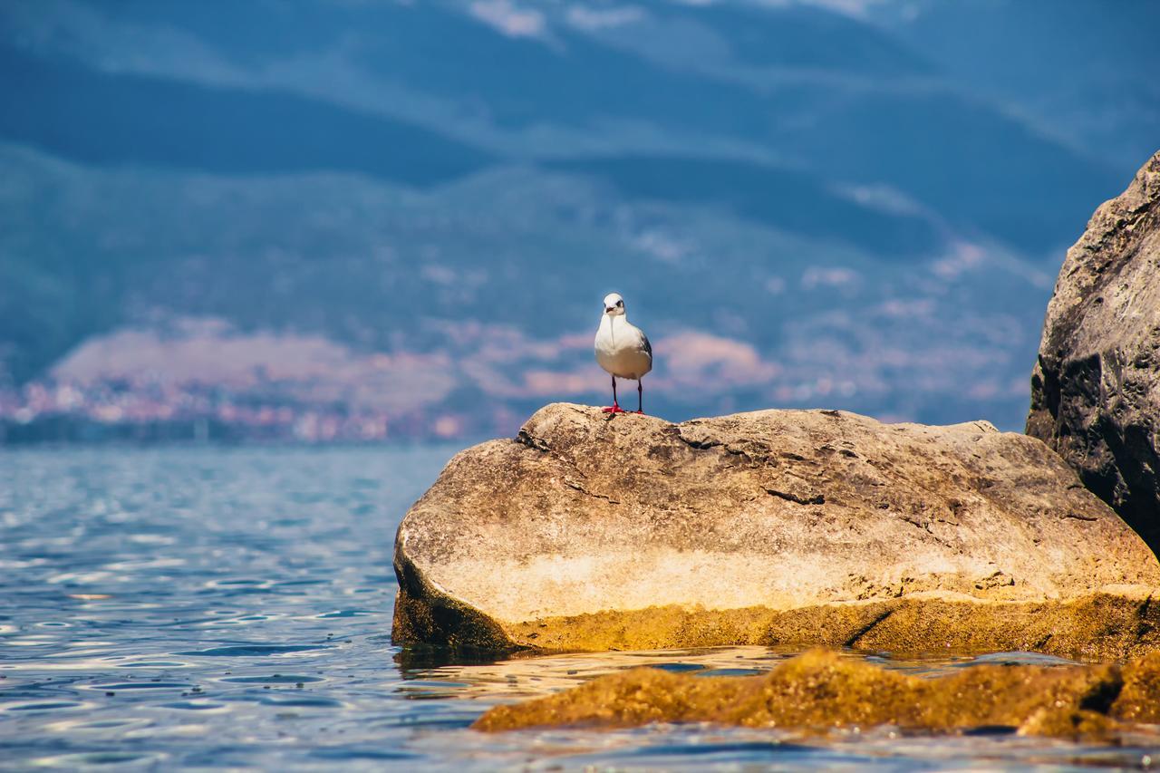 Park Lakeside Ohrid Ngoại thất bức ảnh